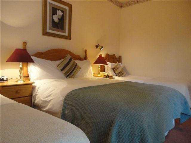 Alpine Guesthouse Dingle Quarto foto